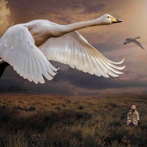 コウノトリ2羽とかわいい赤ちゃんのまな板、鳥のまな板、モダンなまな板、動物のまな板、サービングボード、持ち運びに便利