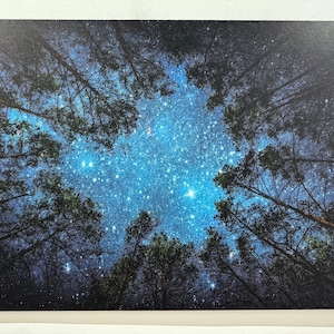 Hermoso cielo estrellado, arte de la pared del cielo nocturno, decoración de la sala de estar, cartel de vista nocturna, impresión del paisaje del bosque, arte de la pared del lienzo, decoración del hogar,