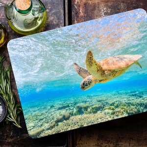 May include: A green sea turtle swims in clear blue water over a coral reef. The turtle is facing the left side of the image. The water is clear and you can see the coral reef below the turtle.