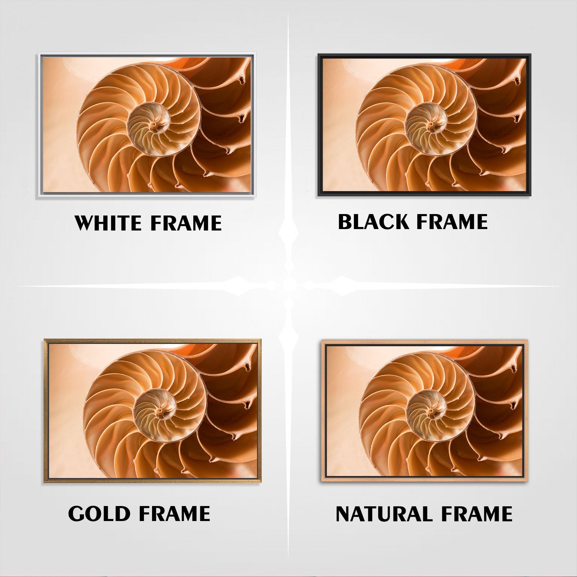 Neutral Shell Photo Modern Poster, Nautilus Shell Wall Hanging, Elegant Seashell Poster ...