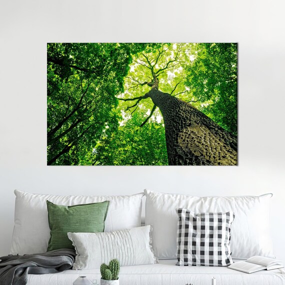 B&D XXL - Quadro 120x60 Cm 1 Pezzo - Stampa Su Tela Strutturata XXL Grande - Quadri Moderni Soggiorno - Foto 8