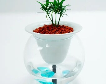 Ceramic Automatic Water Absorption Self-Watering Planter with Glass Water Reservoir - Modern Indoor Plant Pot for Plant Lovers from Japan