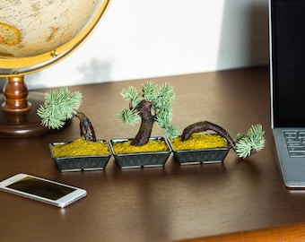 Everlasting A-BONSAI Mini, Japanese Omiya Bonsai Style, Handcrafted Five-Needle Pine, Artificial Bonsai Tree, Maintenance Free Home Decor