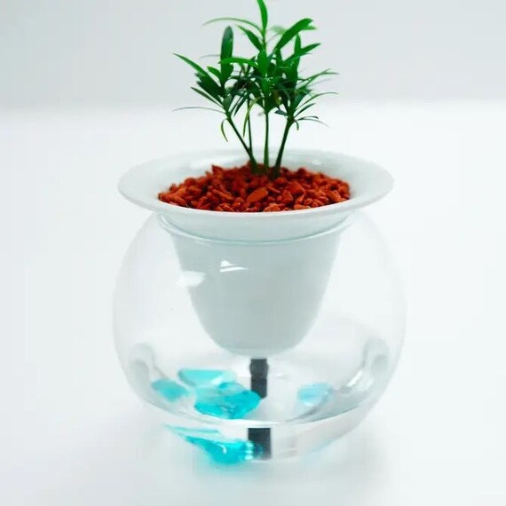Ceramic Automatic Water Absorption Self-watering Planter With Glass Water  Reservoir - Modern Indoor Plant Pot for Plant Lovers From Japan - Etsy  Israel