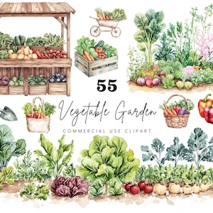 Légumes Patch Clipart, Clipart jardin potager, aquarelle légumes Clipart, aquarelle Farmers Market Clipart, Clipart cultivé localement