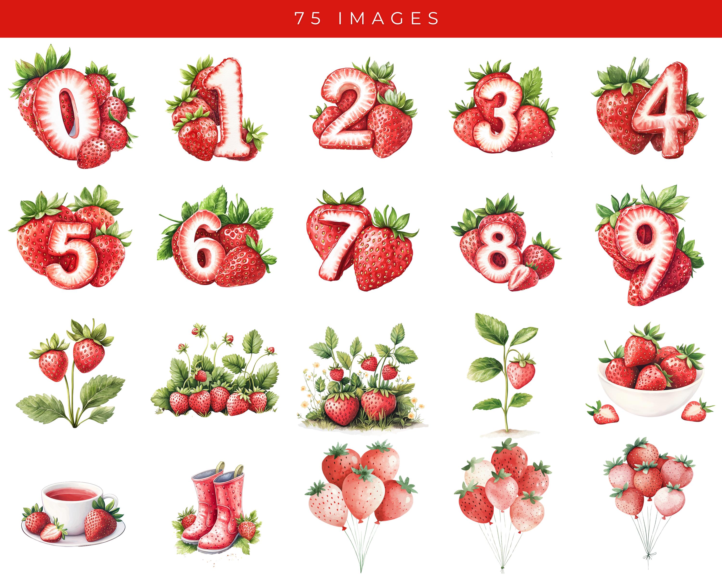 Watercolor Strawberry Clipart Set: Berry First Birthday, Dessert PNG ...