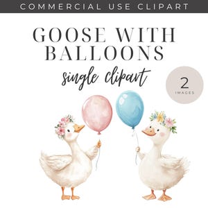 Aquarelle d'oie avec des cliparts ballon, unique des cliparts, sexe révéler des cliparts, Shower de bébé des cliparts oie, des cliparts bébé oie, usage Commercial