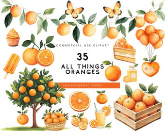Aquarell Orange Clipart Set: 35 PNG-Dateien (kommerzielle Nutzung)