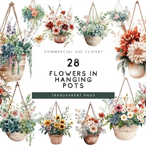Blumen in hängenden Töpfen Clipart Aquarell, Hausblumen in Töpfen, hängender Korb Clipart, hängende Blumen, Pflanzen Clipart, Sukkulenten Clipart