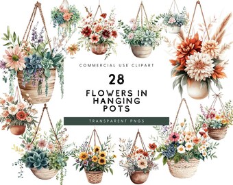 Watercolor Hanging Flower Pot Clipart: Succulents & Plants (PNG Digital Download)