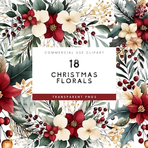 Clipart de flores de Natal em aquarela, flores de Natal PNG, flores de Natal tradicionais, clipart de flores de Natal, plantas de Natal