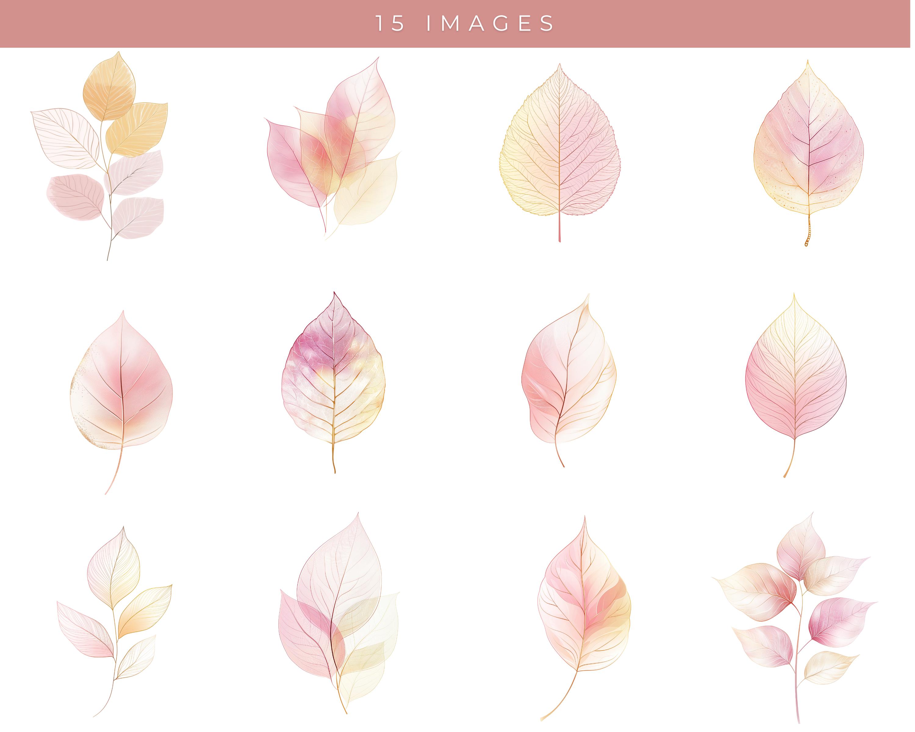 Watercolor Fall Leaves Clipart: Pink & Gold Autumn Leaf Pngs (digital ...