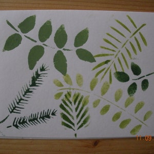 Botanical Leaf Cards, Set of 5