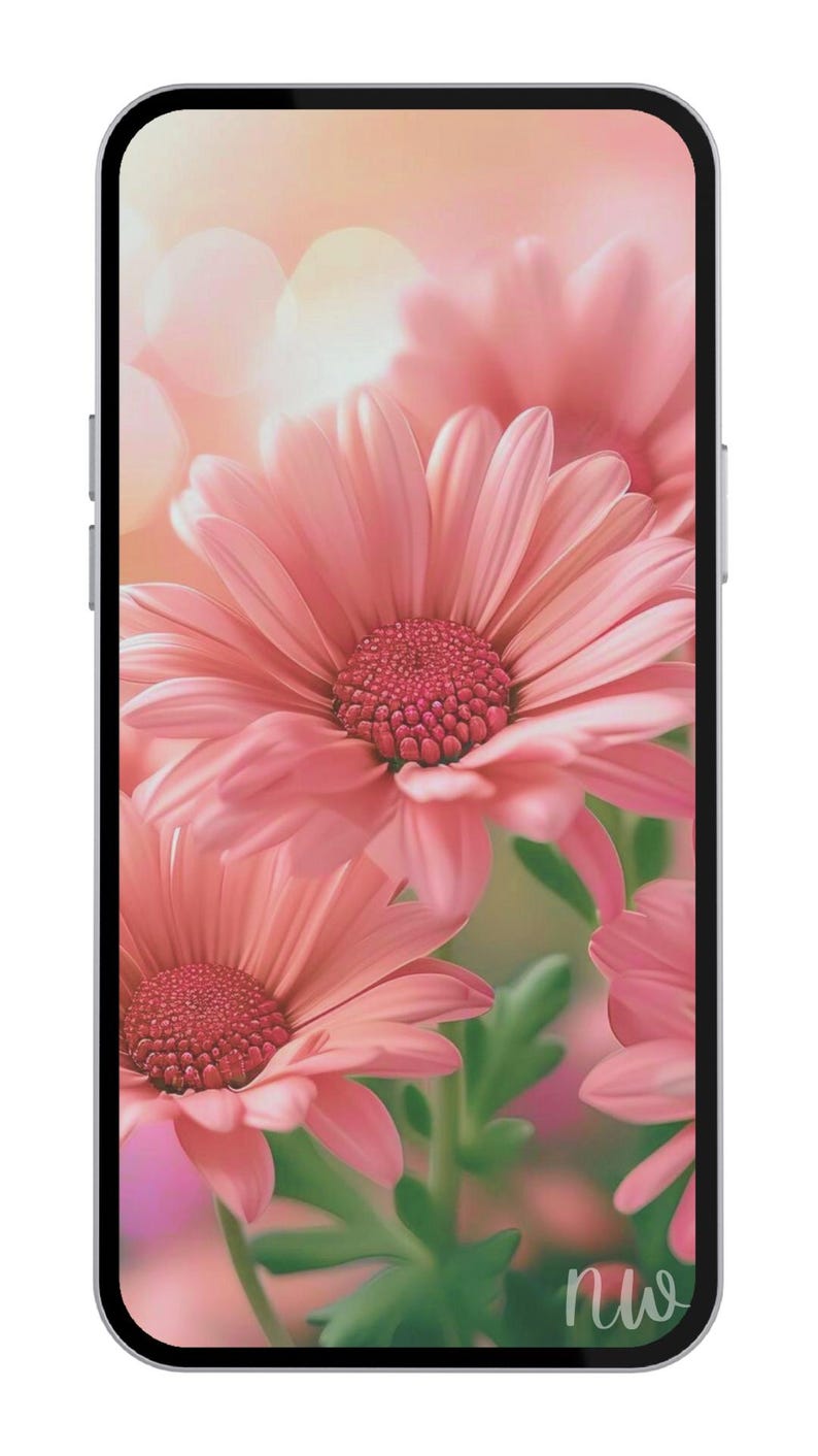 Flowers Pink Floral Wallpaper Bundle of 4 Background Desktop Wallpaper