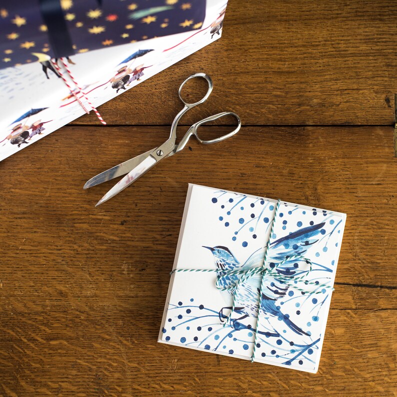 Carte Ailes d'hiver image 4