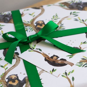 Grosgrain Gift Ribbon