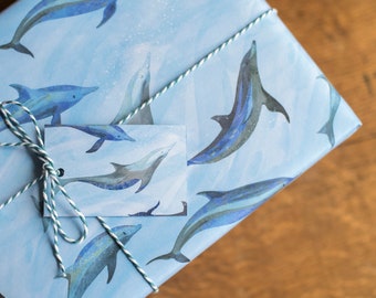 Dancing Dolphins Luxury Gift Wrap Pack - 100% Recycled Wrapping Paper