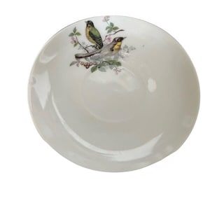May include: White ceramic saucer with a black rim and a floral design featuring two birds on a branch.