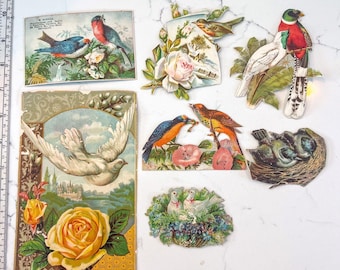 Lot of 7 Antique Victorian Die Cut Scraps Birds Flowers Doves Roses Authentic