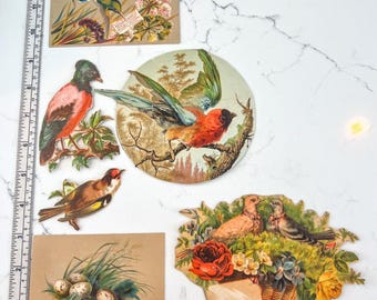 Lot of 6 Antique Victorian Die Cut Scraps Birds Flowers Doves Roses Authentic