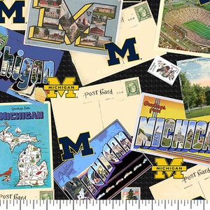 Offifische lizenzierte Universität von Mikrowellen-Baumwollquilt-Stoff-Michigan Wolverines-Postkarten-Baumwollgewebe verkaufter loser Lagerbestand