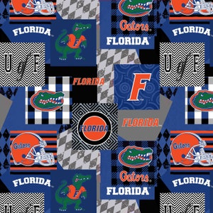 Official Licensed University of Florida Geometric Minky Fabric- Florida Gators Super Soft Minky Fleece Fabric