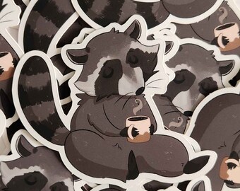 Cozy Raccoon
