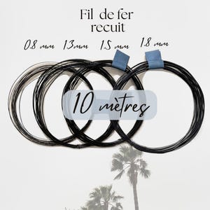 Könnte beinhalten: Vier Spulen aus schwarzem Glühdraht mit der Aufschrift Fil de fer recuit und Durchmessern von 0,8 mm, 1,3 mm, 1,5 mm und 1,8 mm. Jede Spule ist 10 Meter lang. Die Drähte sind horizontal vor einem weißen Hintergrund mit Palmen angeordnet.