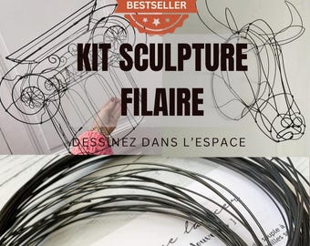 Wire Sculpture Kit for Beginners - Transform a simple piece of wire into a work of art. Draw in space with wire.