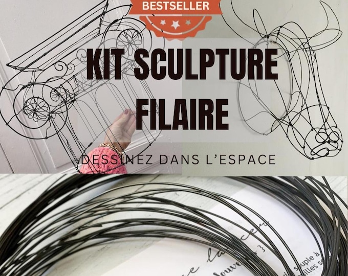 Wire Sculpture Kit for Beginners - Transform a simple piece of wire into a work of art. Draw in space with wire.