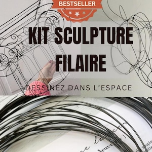 Wire Sculpture Kit for Beginners - Transform a simple piece of wire into a work of art. Draw in space with wire.