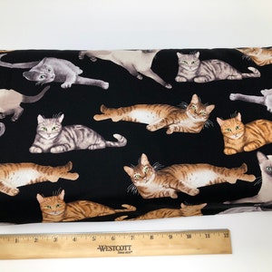 Lazy Cats on Black, REDUCED, 3 yards, Timeless Treasures, 100% Cotton Quilt Shop Quality