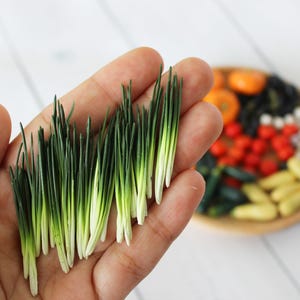 Miniature Green Onion 1:12 Miniature Vegetables Miniature farmer Realistic miniatures food for dolls Dollhouse miniatures
