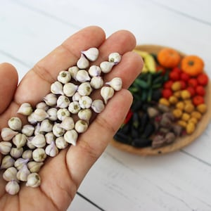 Miniature Garlic 1:12 Miniature Vegetables Miniature farmer Realistic miniatures food for dolls Dollhouse miniatures