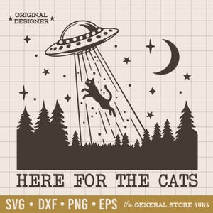 Hier für die Katzen - Katzenliebhaber - Katzenliebhaber - Katzen Person - Humorvoll - Digital Download - UFO - Verrückte Katze Person - Png Sublimation