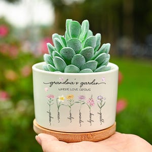 Puede incluir: Una pequeña maceta de cerámica blanquecina con el texto "grandma's garden" e ilustraciones florales. La maceta contiene una planta suculenta verde y se apoya en un posavasos redondo de madera. También está impreso el texto "WHERE LOVE GROWS".