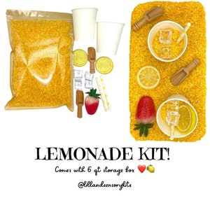 Lemonade Sensory Bin, Sensory Kit, Sensory Bin, Busy Box, Kids Gift, Pretend Play, Montessori