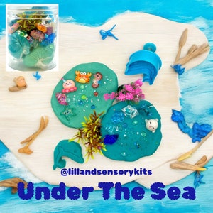 Under The Sea Playdough Large Jar, Party Favor, Birthday, Sea, Ocean, Sensory Kit, Busy Box, Kids Gift, Pretend Play, Activity, Travel