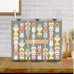 Stray Kids SKZoo Tumbler w Straw, Personalized 20oz Skinny Insulated StrayKids mug, K-pop Fan Merch, SKZ BbokAri Leebit Bangchan gift