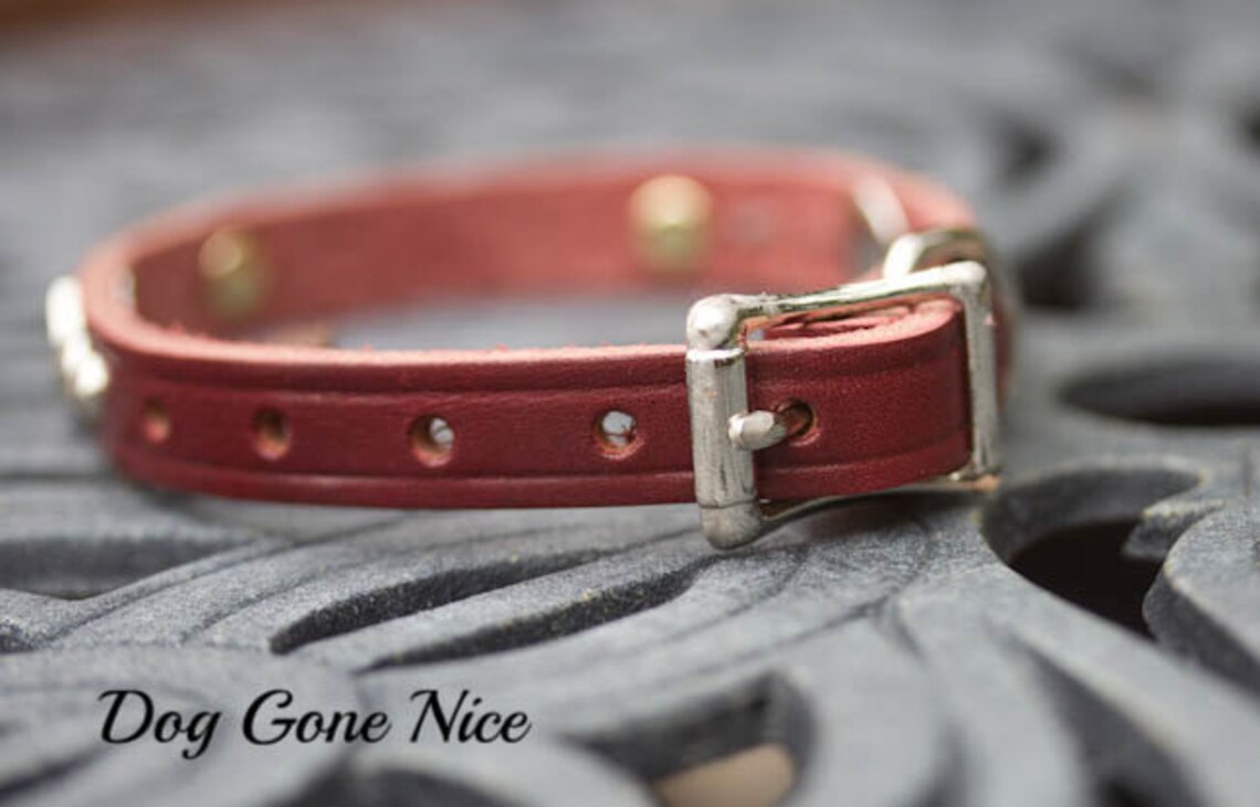 Personalized Leather Dog Collar Gun Dog Collar Small Leather Etsy