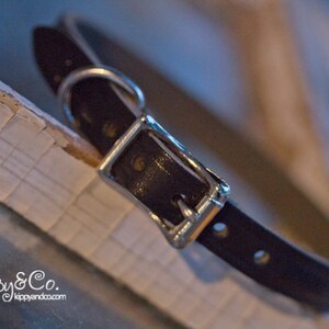 May include: A close-up of a black leather dog collar with a silver buckle. The collar is lying on a white surface.