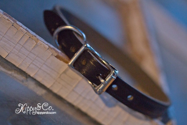 May include: A close-up of a black leather dog collar with a silver buckle. The collar is lying on a white surface.