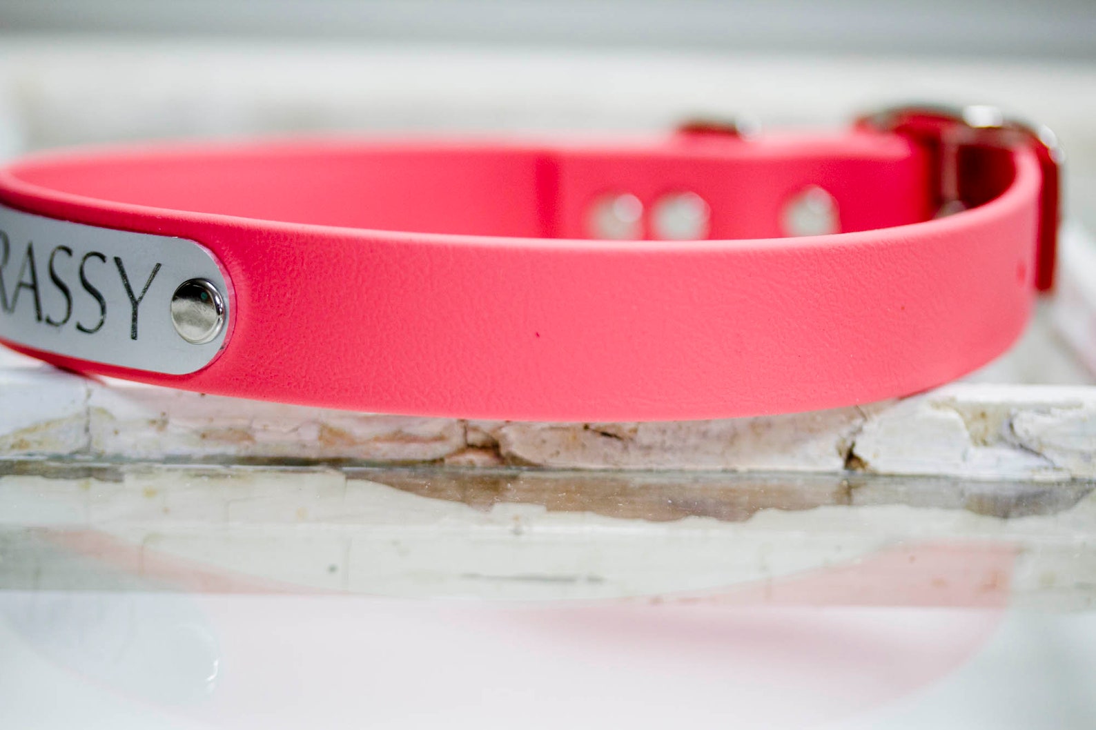 Waterproof Dog Collar Personalized Collar Rot Resistant Etsy