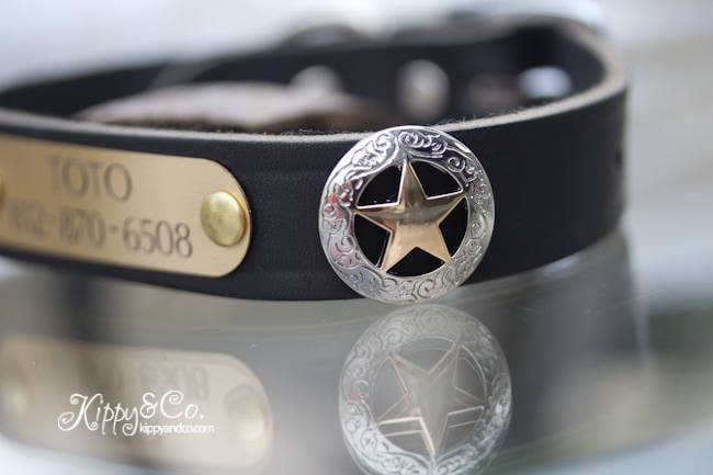 Conchos cuir - Accessoires pour créations en cuir | Deco Cuir