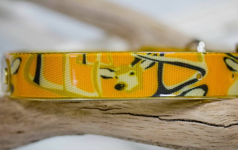Bright Orange Hunting Dog Collar With Personalized Name Plate Etsy