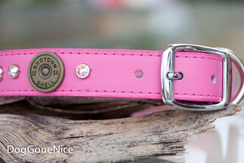 12 Gauge Shotgun Shell Dog Collar with Personalized Name Etsy