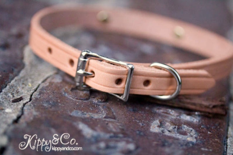 May include: A light pink leather dog collar with a silver buckle and a silver D-ring.