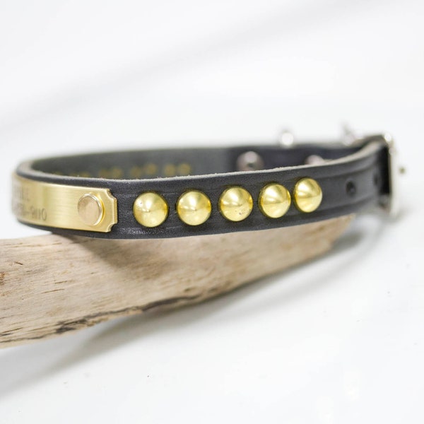 Small Leather Dog Collar, Studded, Personalized Name Plate