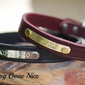Personalized Dog Collar, Dog Collar with Name Plate, 3/4 inch Wide Collar, Leather Dog Collar, ID Name Tag Collar, Pet Collar, Goat Collar