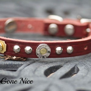 Ruger gun dog clearance collar